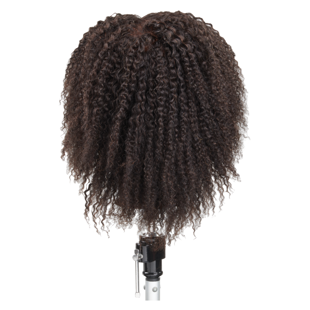 Celebrity Manikin Dwayne Textured Hair Male Head E340