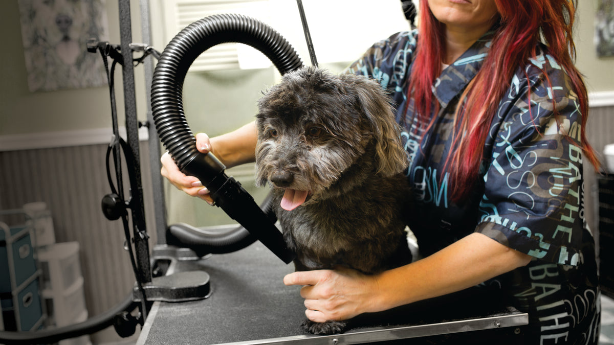 MetroVac Air Force Commander 2 Speed Pet Dryers